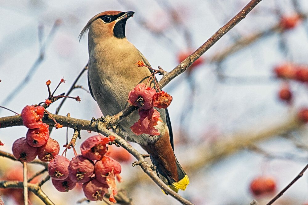 Photograph by Сергей Черных