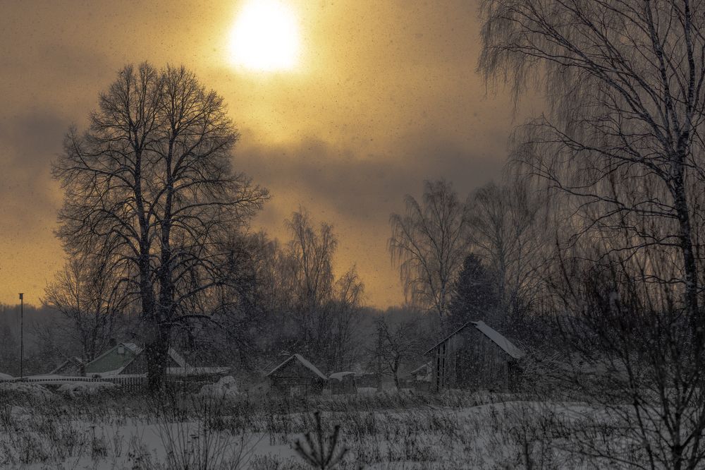 Photograph by Владимир Петухов
