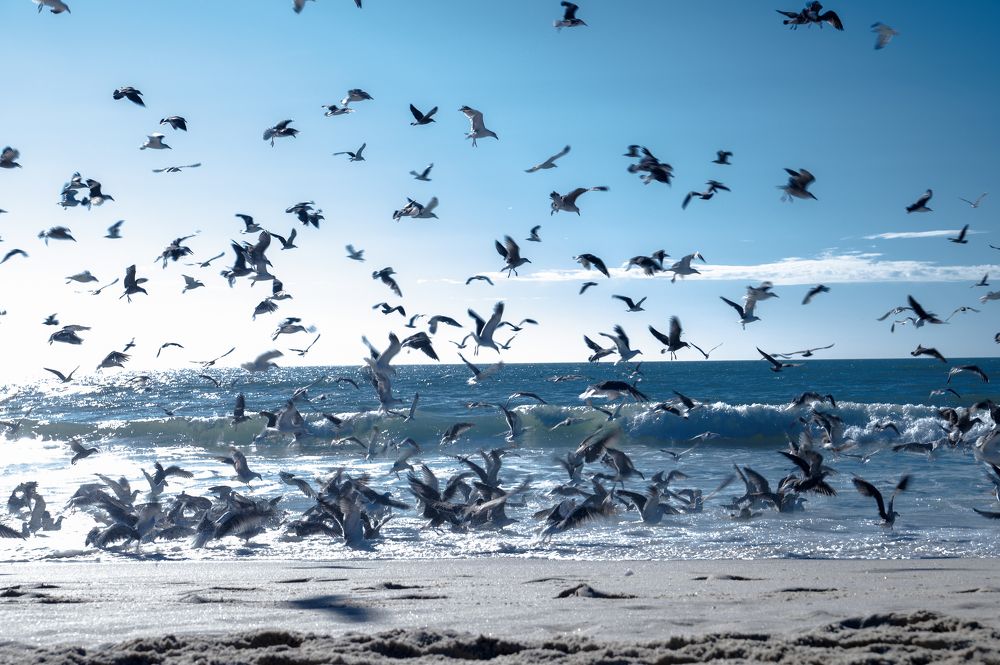 Photograph by Pedro manuel cunha moreira