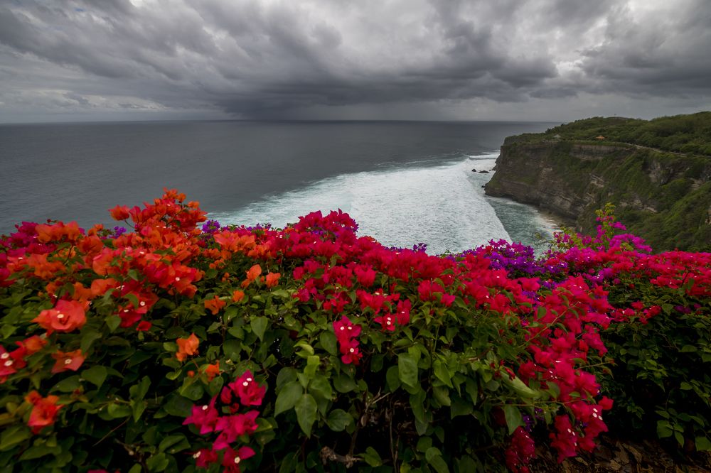Суровый Индийский океан