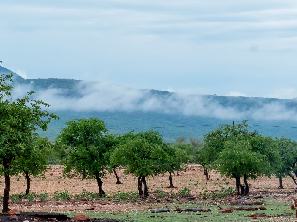 Photograph by MK COLLECTION