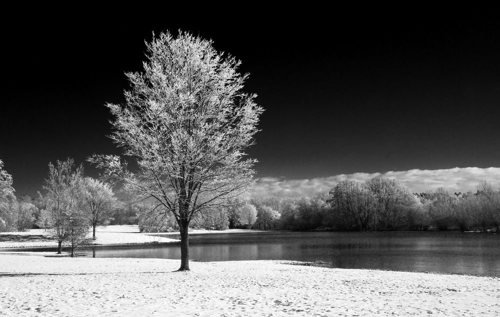 Photograph by Елена Покрепа