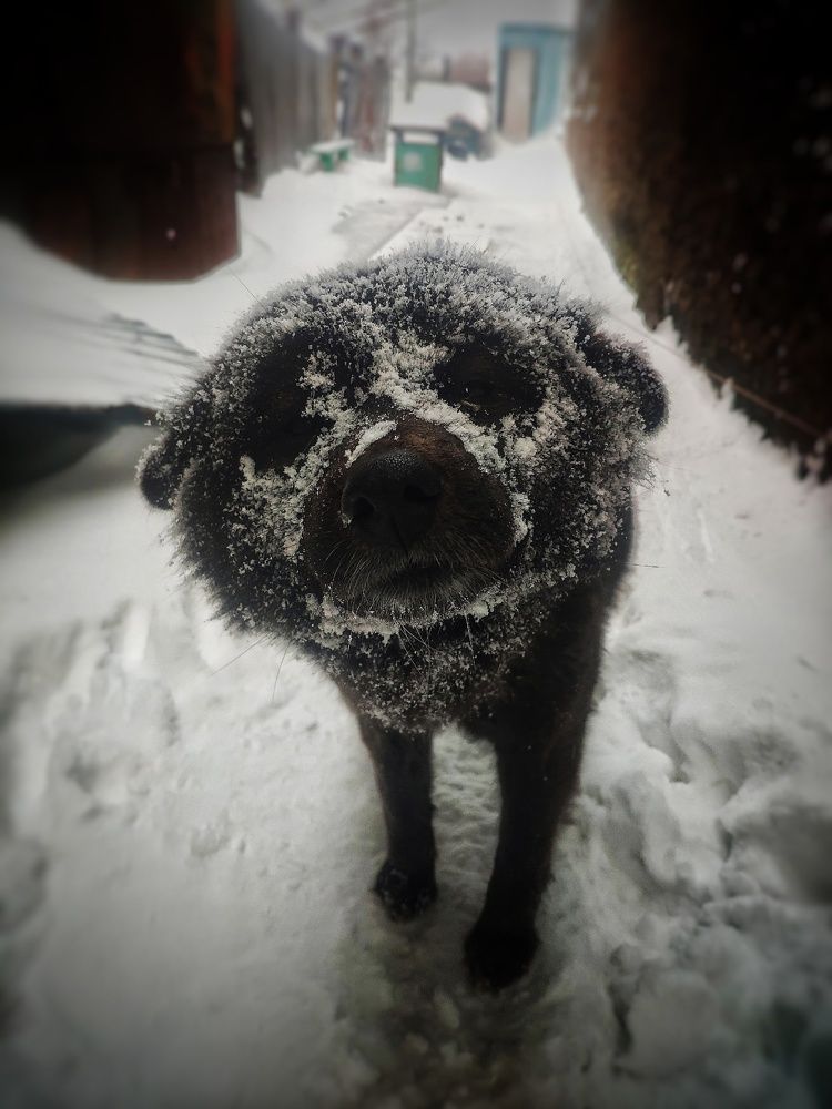 Фотография автора Егор Кондратьев