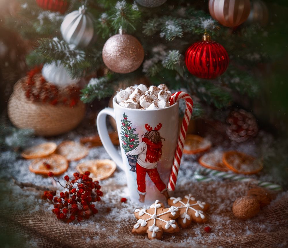 Рождественские каникулы