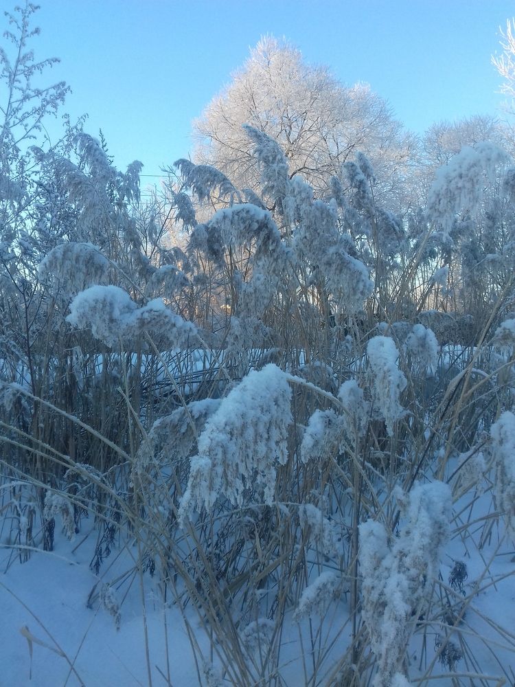 Photo #10038642