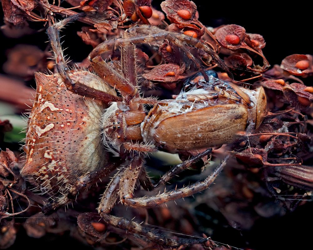 Фотография автора Craig Loechel