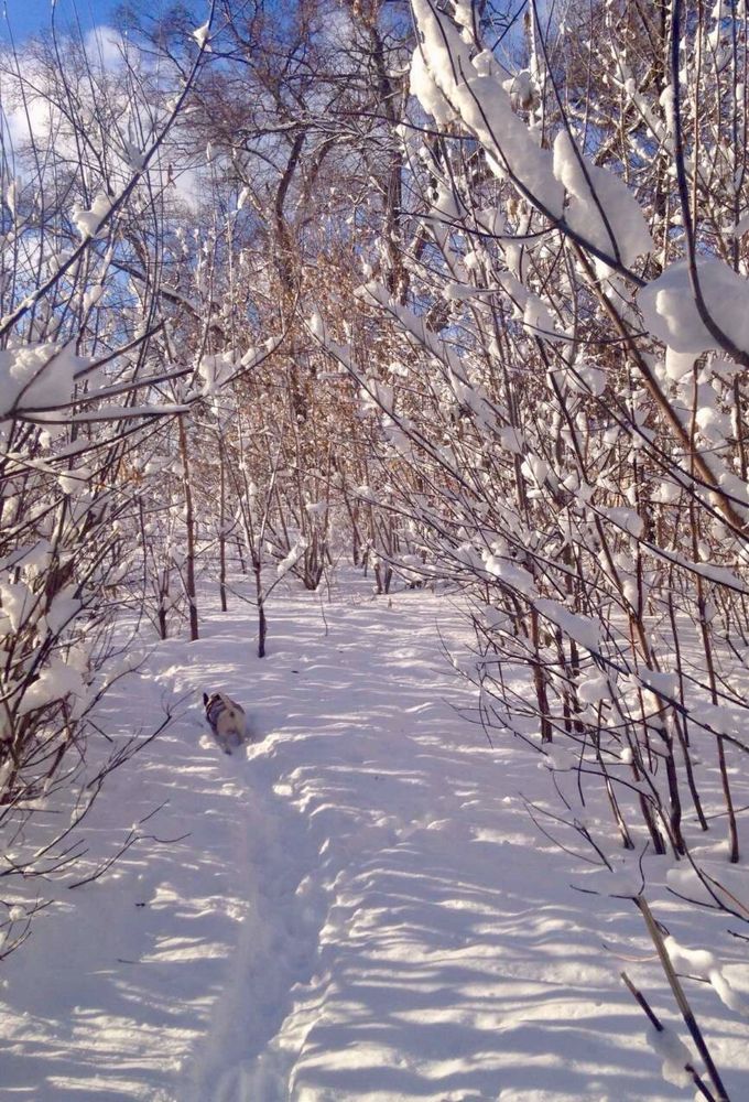 Photograph by Ирина