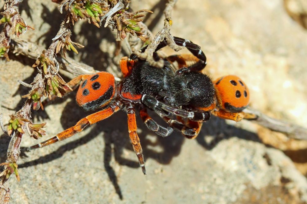 Photograph by Прокопов Григорий