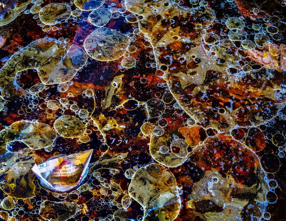 По волшебному морю