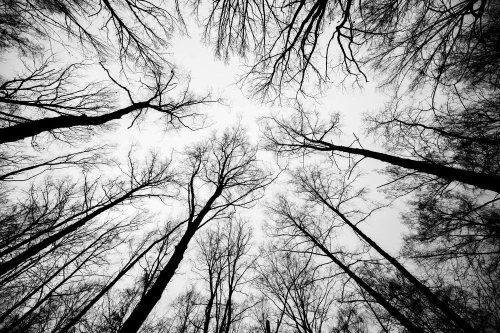 Photograph by Дмитрий Куликов