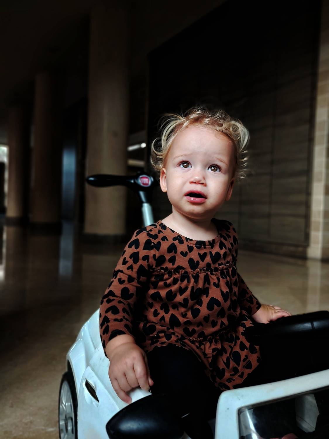 Photo #10038971