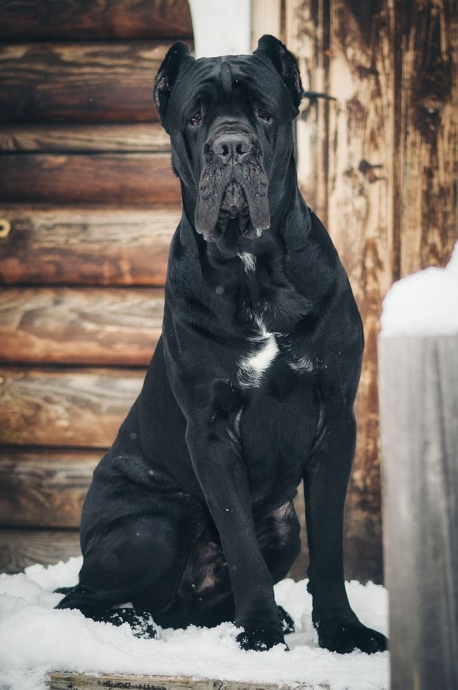 Photograph by Елена Раздвилова