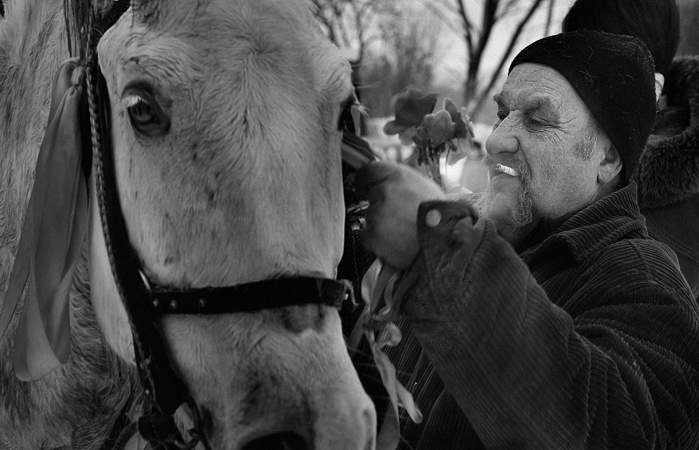 Я люблю свою лошадку))