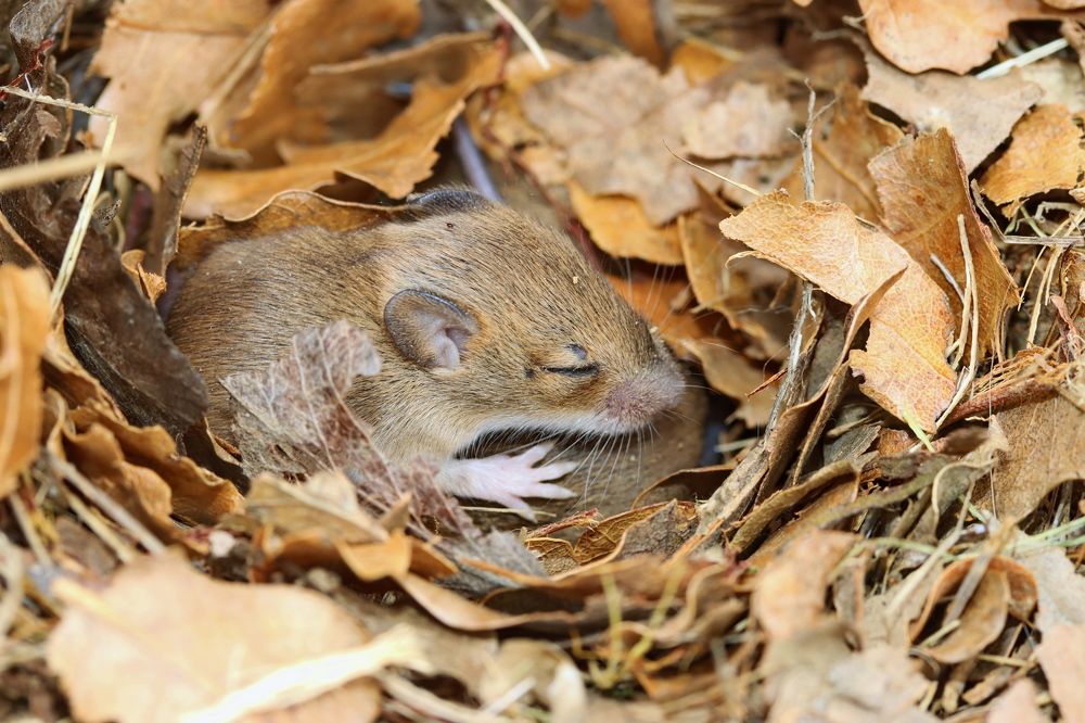 Photograph by Прокопов Григорий