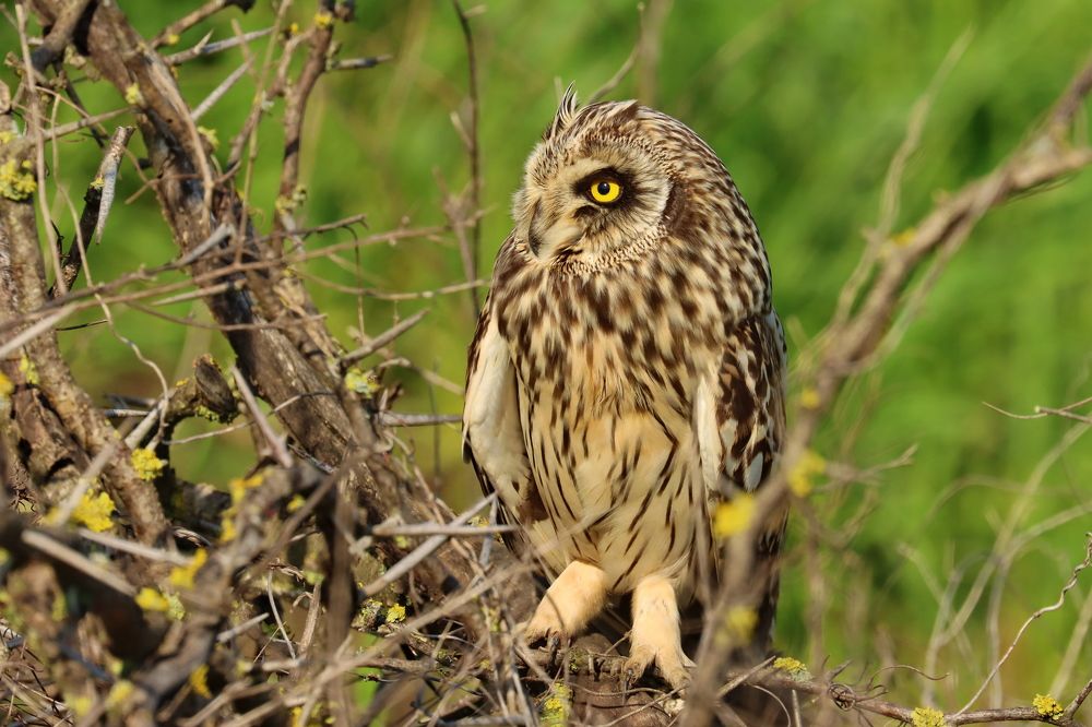 Photograph by Прокопов Григорий