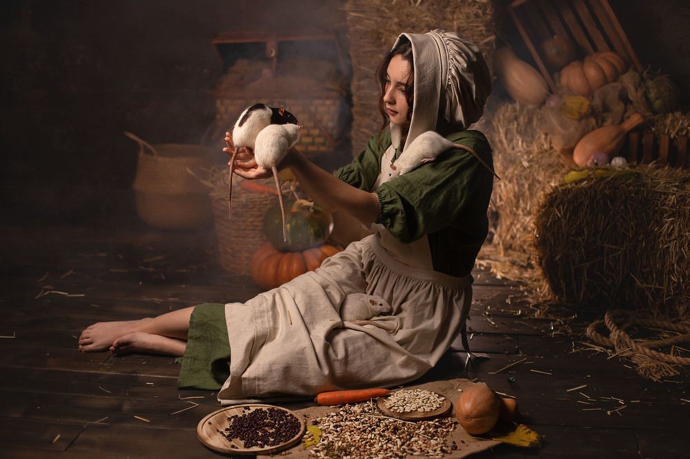 Золушка и мышки