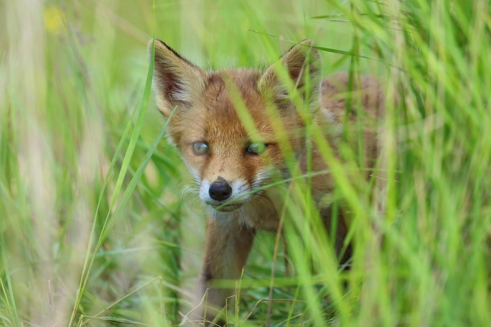 Photograph by Прокопов Григорий