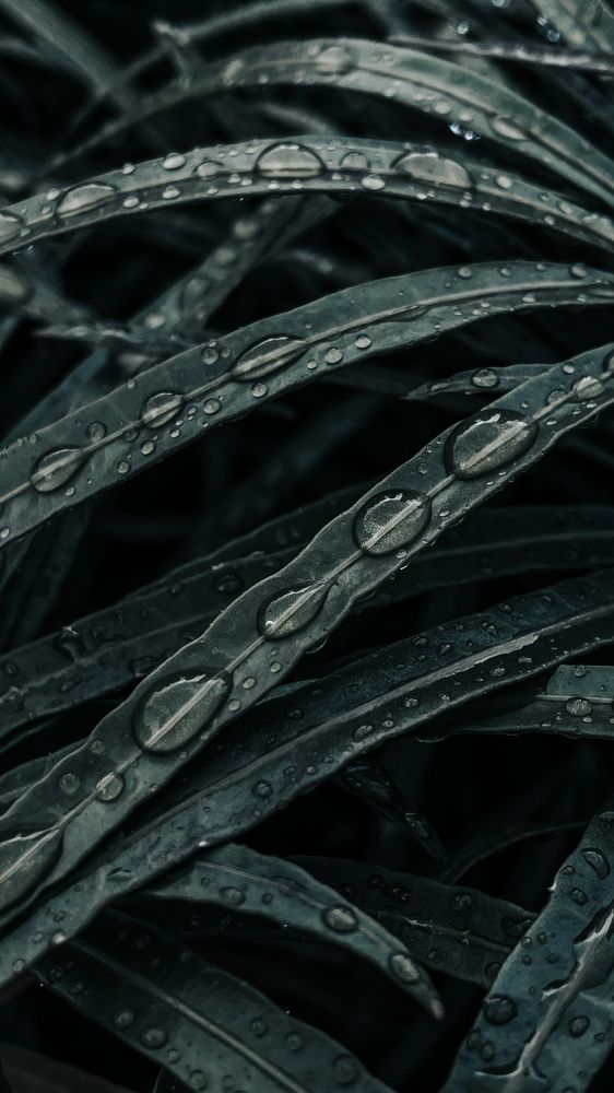 Photograph by Софья Гелевера