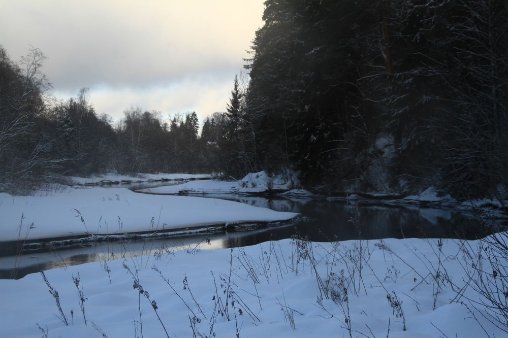 Фотография автора Анастасия Зверева