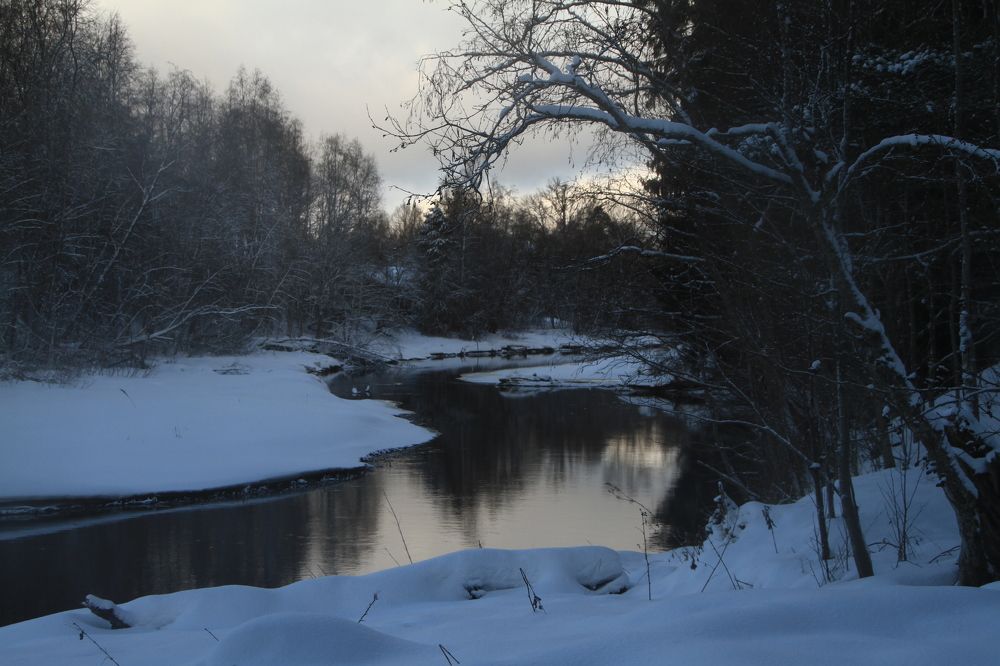 Фотография автора Анастасия Зверева