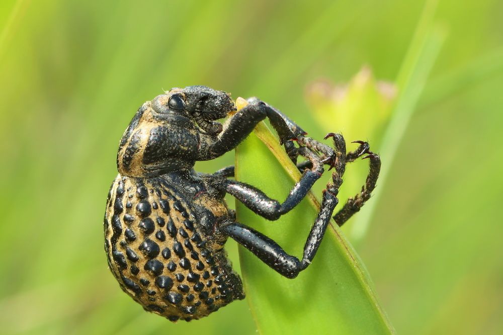 Photograph by Прокопов Григорий