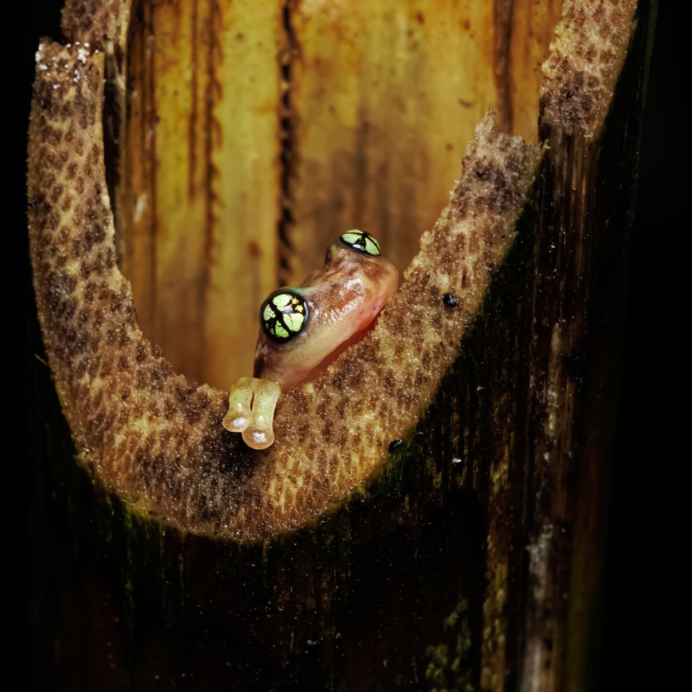 Фотография автора Rajath Sasidharan