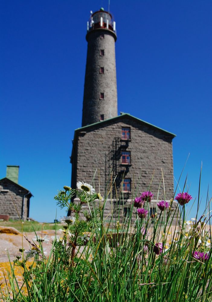 Фотография автора Ирина Панина