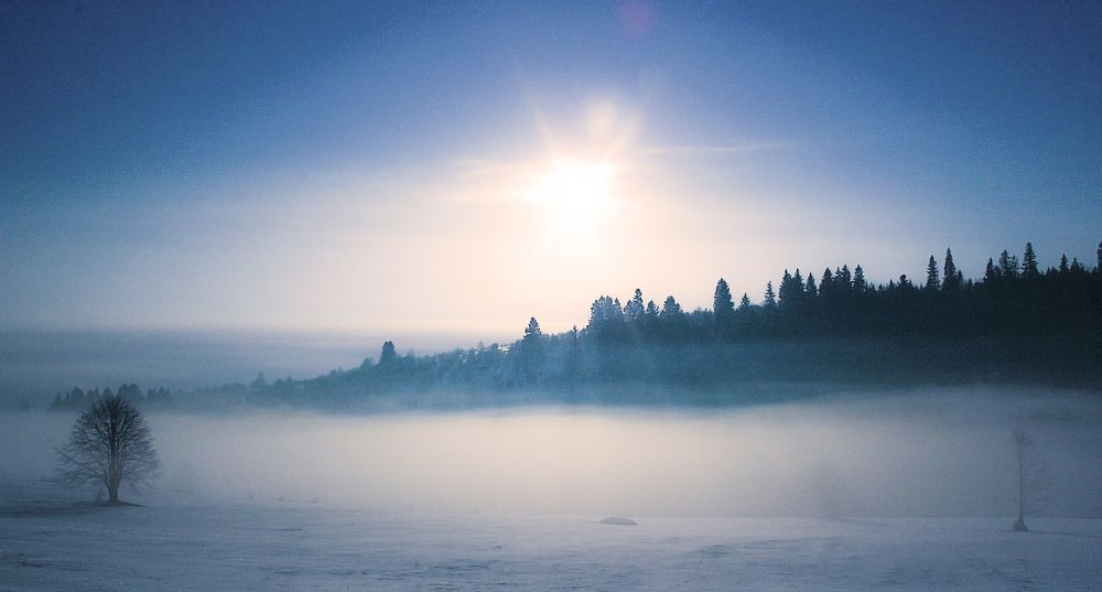 Winter fog