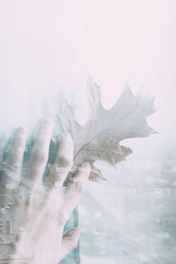 Фотография автора Ирина Панина