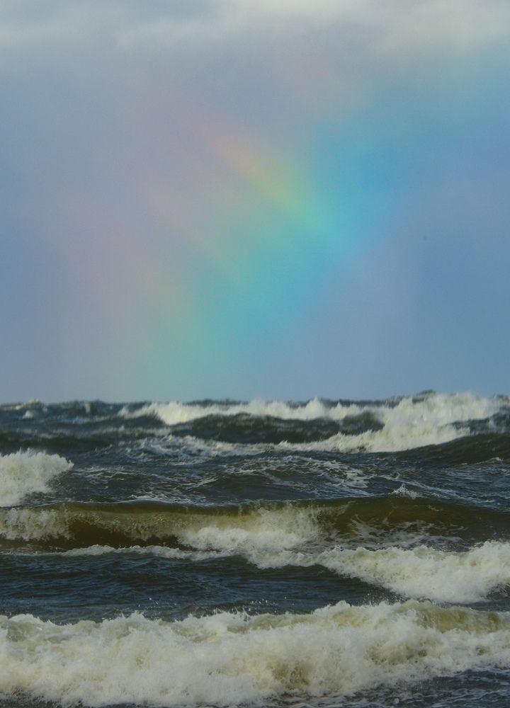 Фотография автора Elvijs Kalniņš