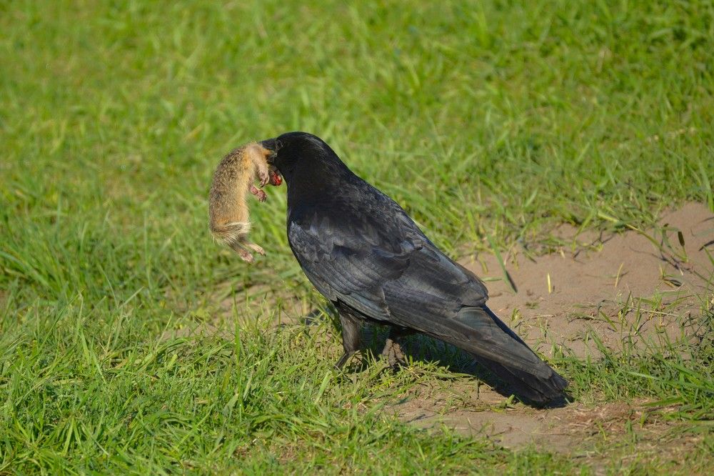 Photograph by Анатолий Каминский