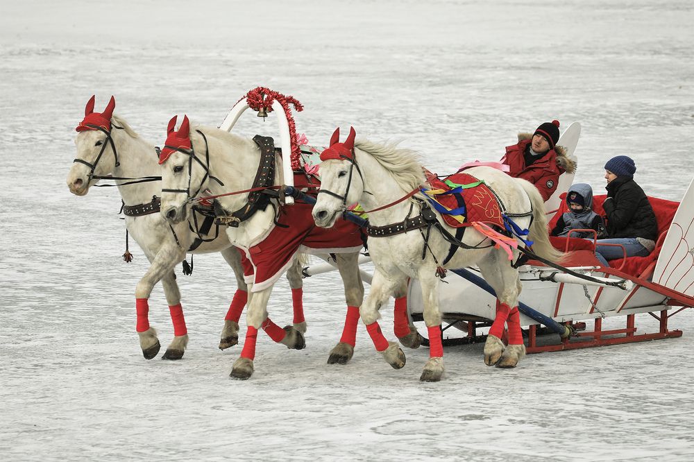 Фотография автора Сергей Черных