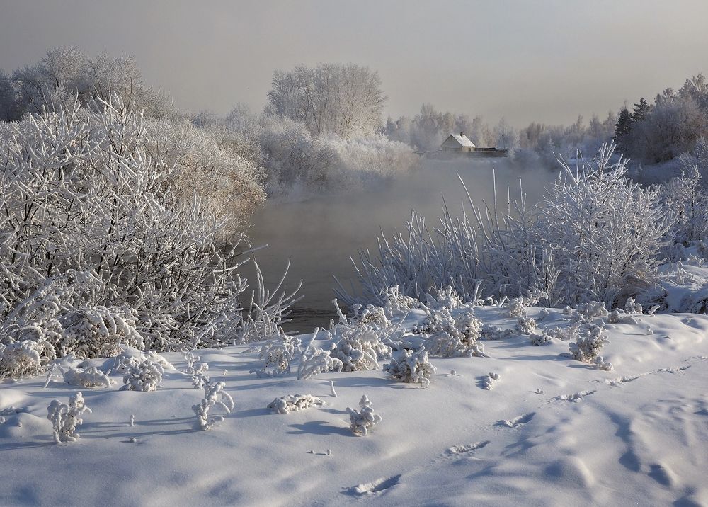 Photograph by Александр Попов