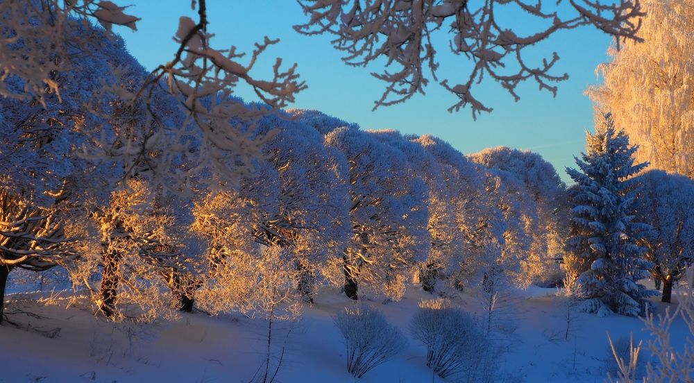 Photograph by PERESHEIN ANDREY