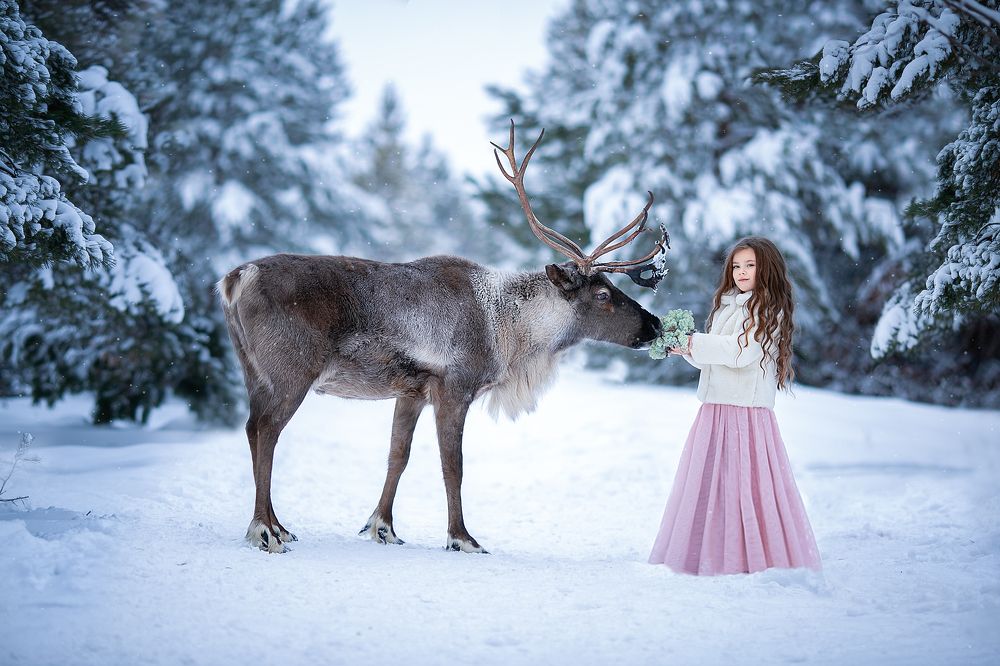 Photograph by Елена Алешечкина