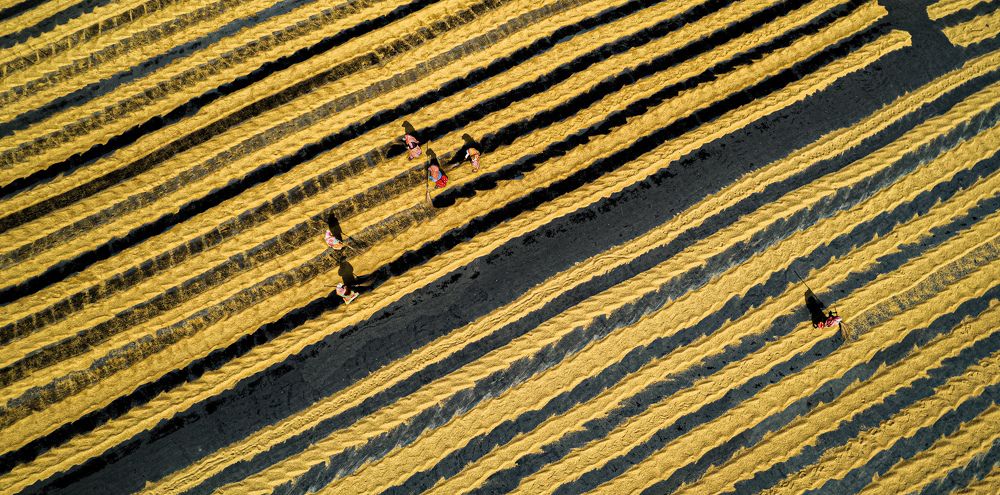 Photograph by Debanjan Das