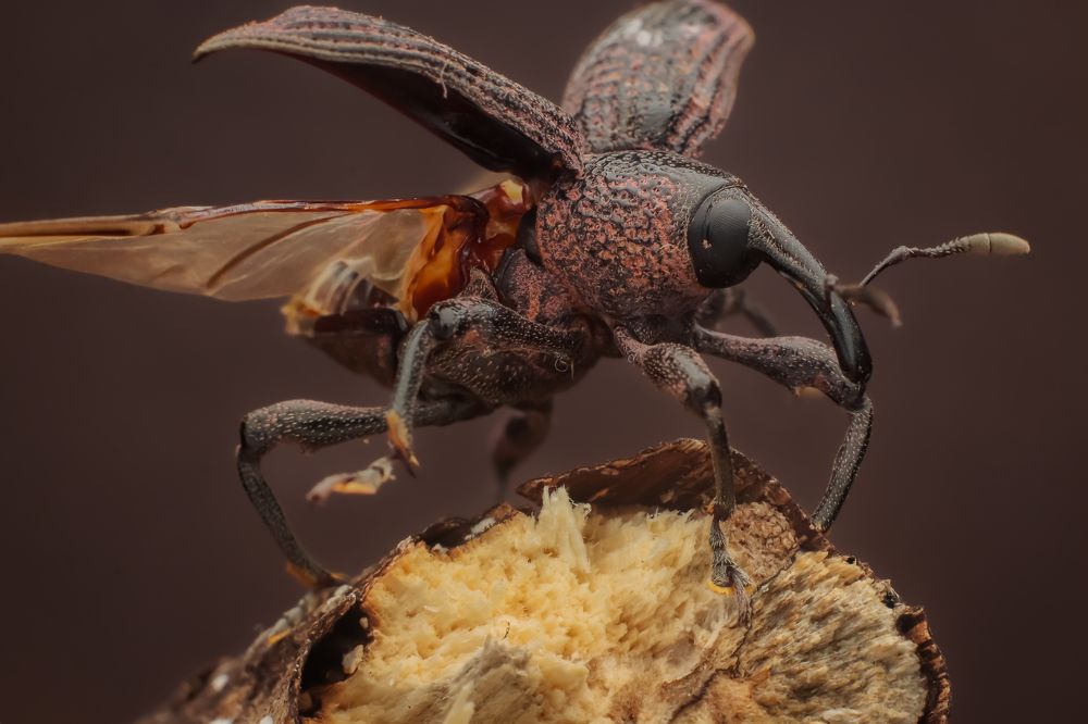 Photograph by Mark Kineth Casindac