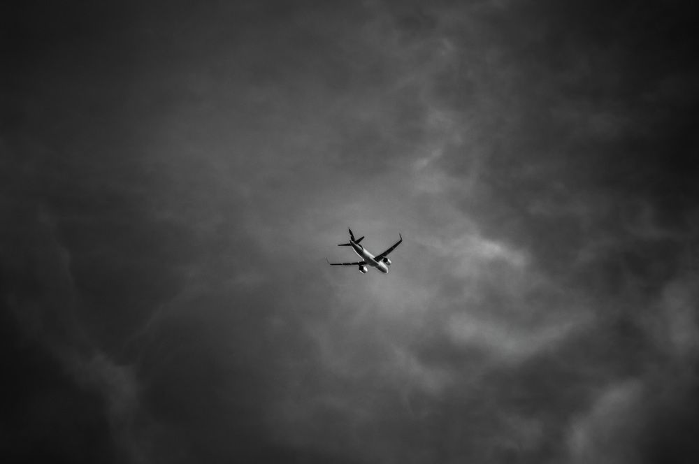 Photograph by Fabricio Bento