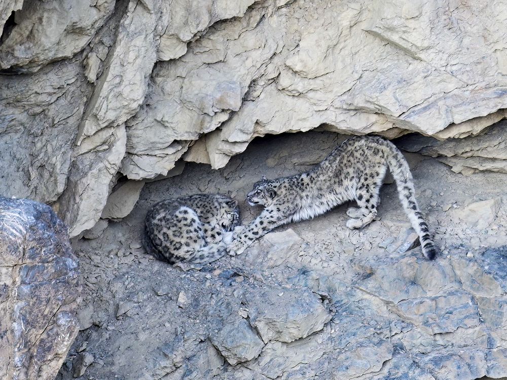 Photograph by Пупонин Сергей