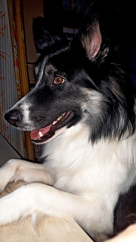 Photograph by Дмитрий Симагин