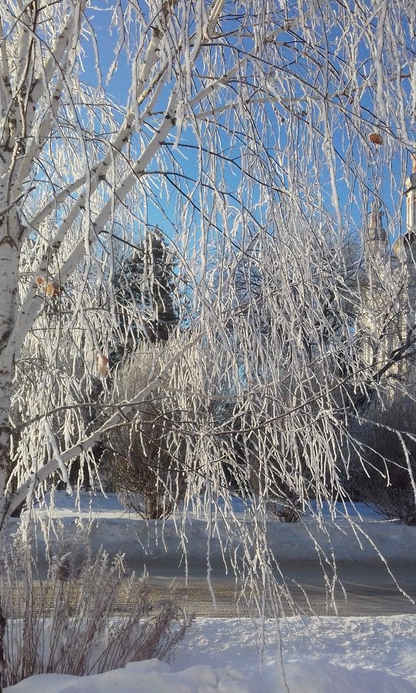 Photograph by Лида