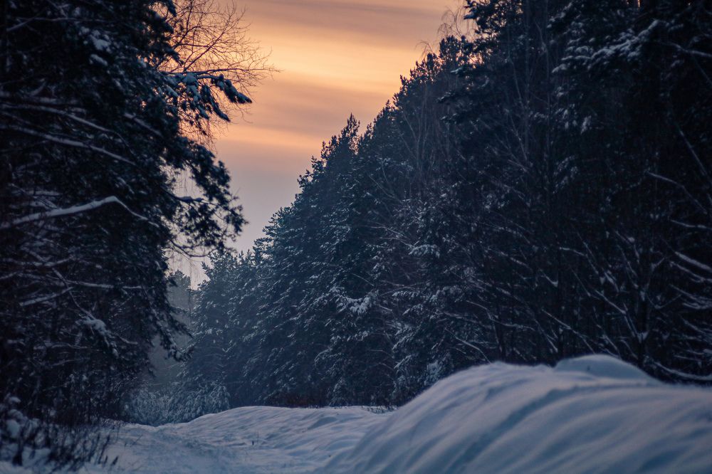 Photograph by Владислав Планков