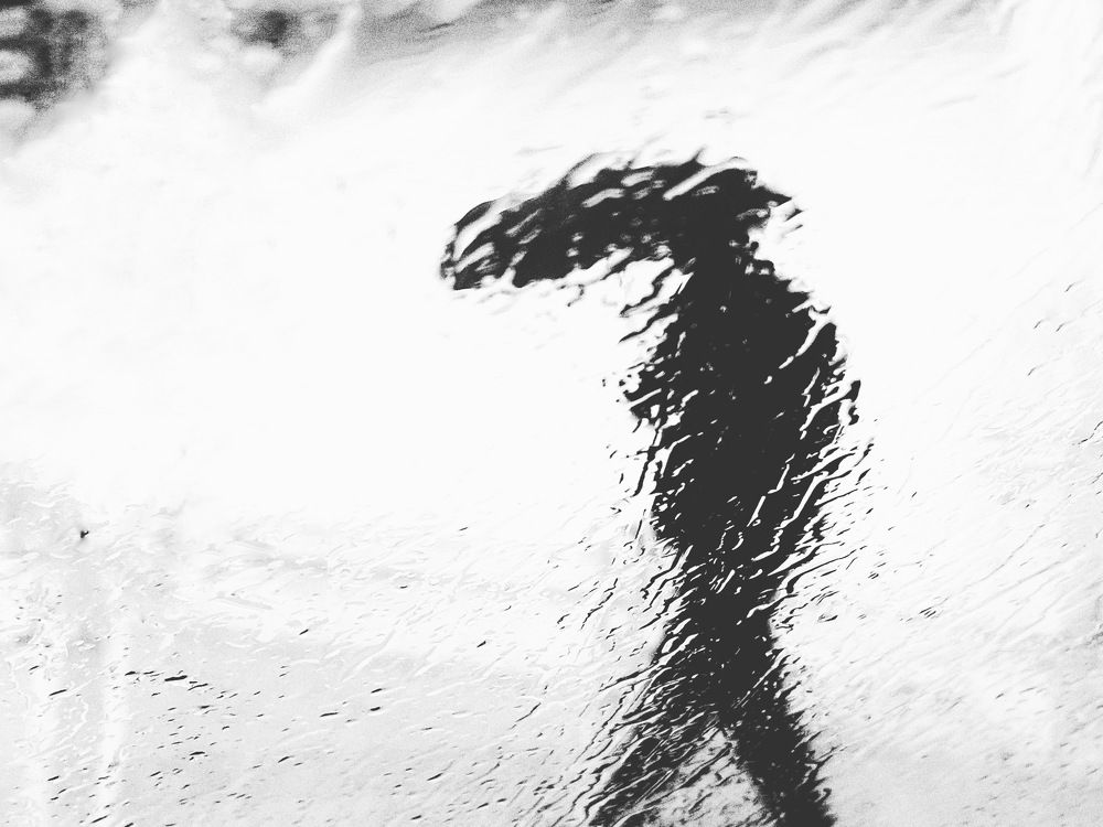 Photograph by amin Sharafiani