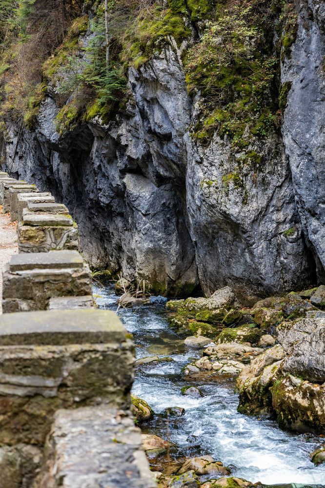 Photograph by Grădinaru Catalin