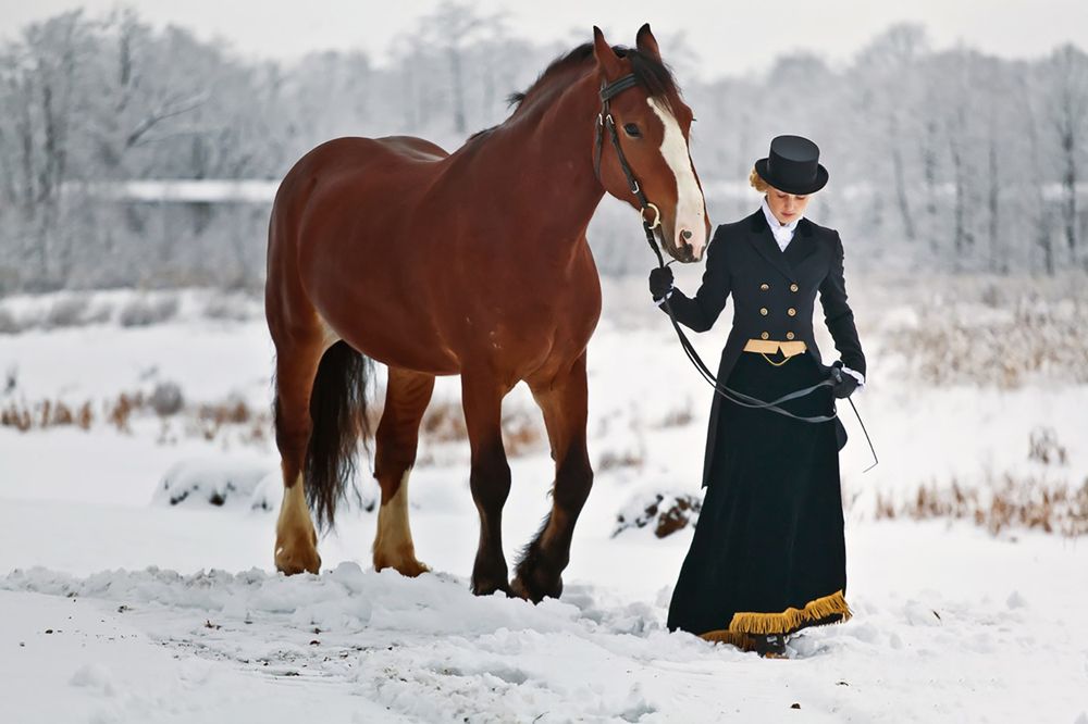 Фотография автора Илья Фаминцын