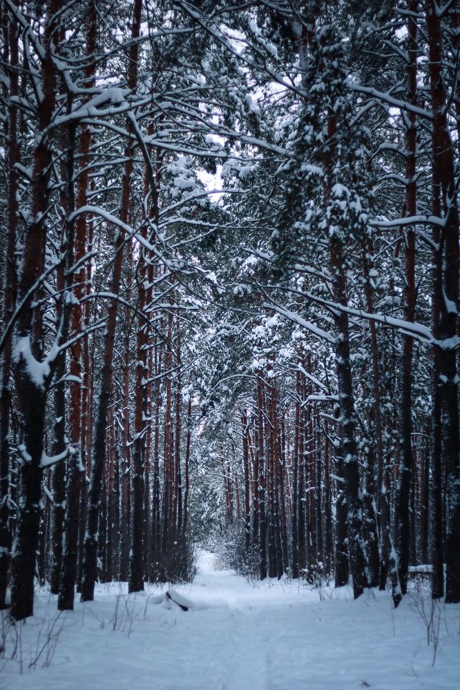 Photograph by Владислав Планков