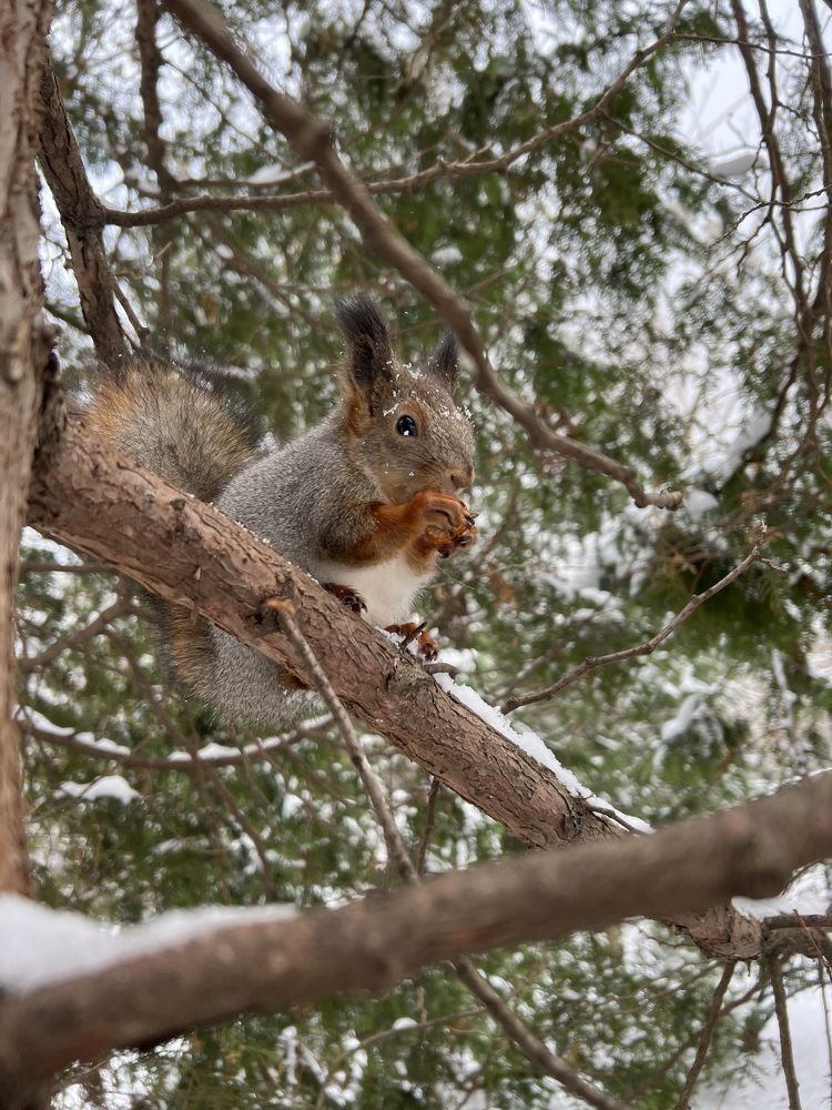 Photograph by Ирина