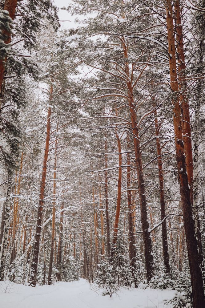 Photograph by Анна Балова