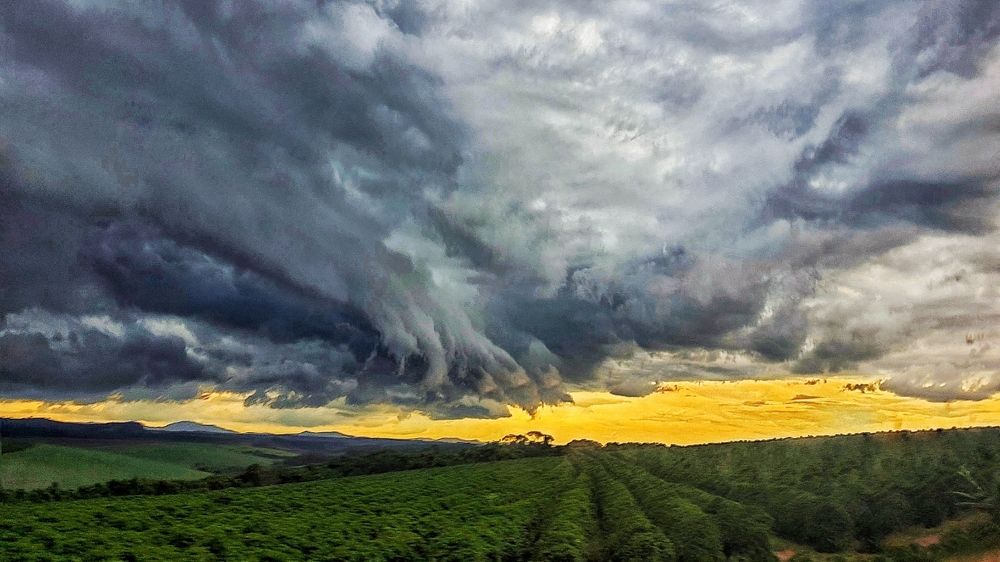 Photograph by adriana menez