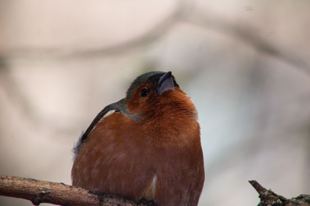 Photograph by Евгений Мельников